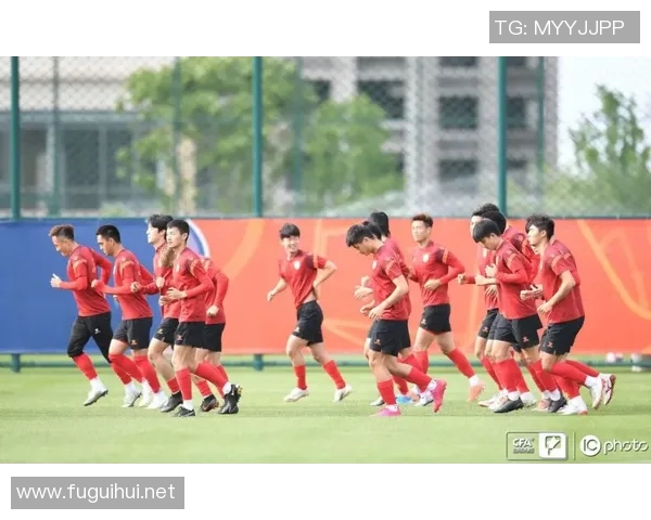 成都网球队比赛经验分享与提升策略的深入探讨