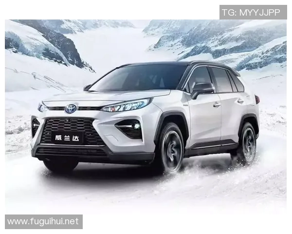 杭州足球队在洲际杯积分榜上以90分稳居第一名展现强劲实力